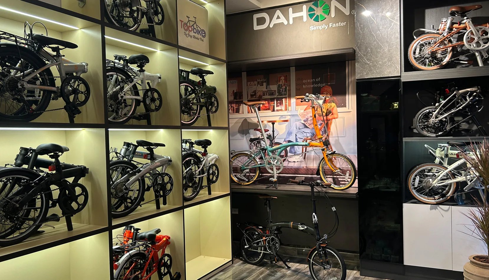 Xe đạp gấp TopBike